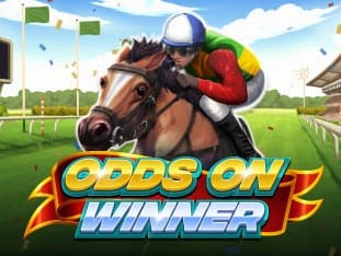 Odds On Winner game cover